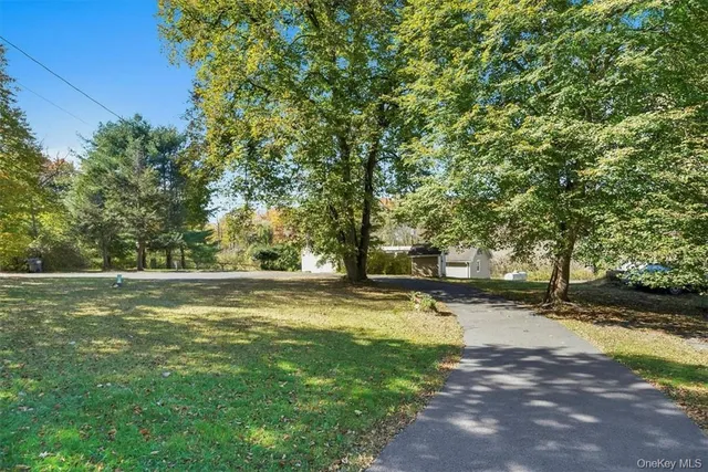 a view of a yard with a tree