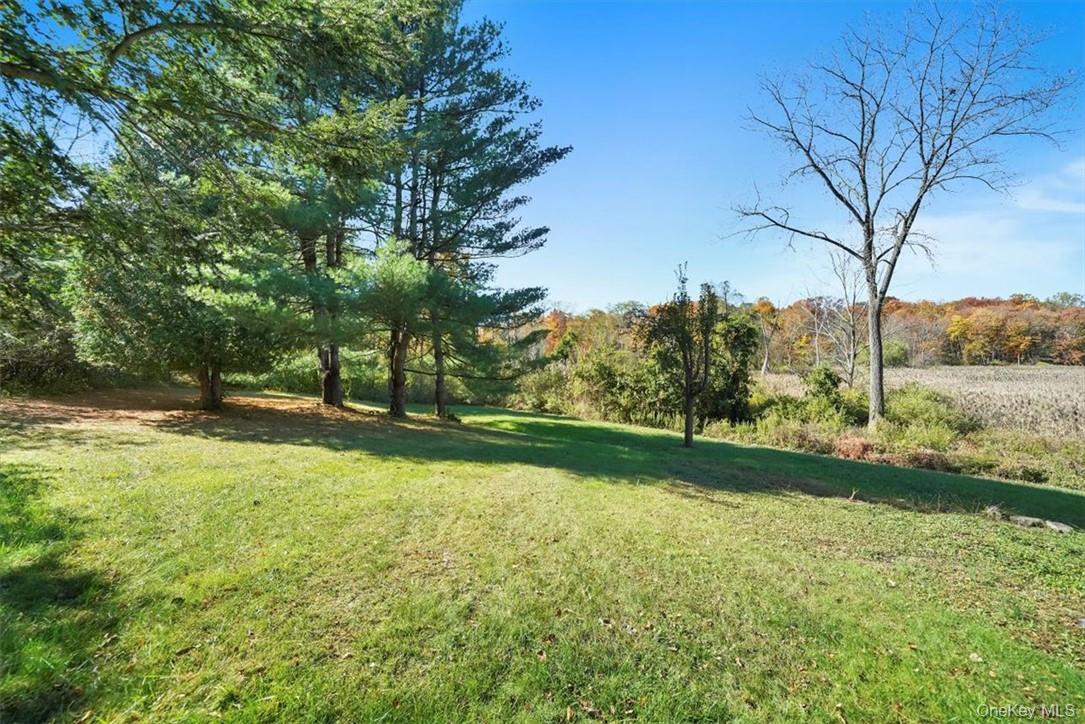 241 Smith Clove Road Highland Mills, NY 10930 - Photo 20 of 26 a view of a yard