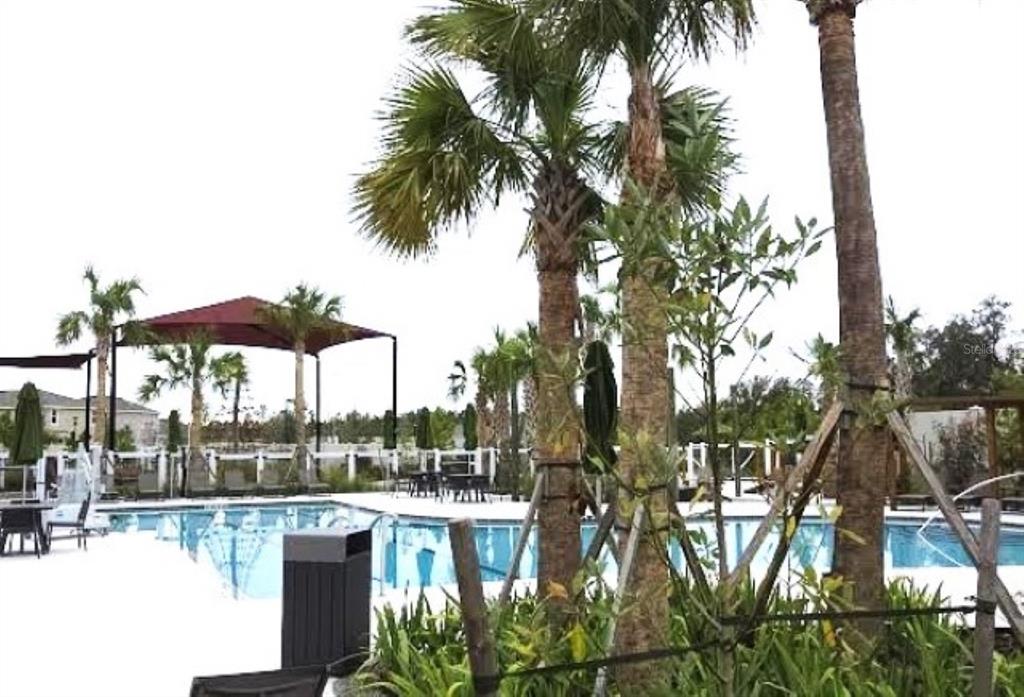 35589 Lockman Way Zephyrhills, FL 33541 - Photo 50 of 54 a view of a swimming pool with a table and chairs under an umbrella