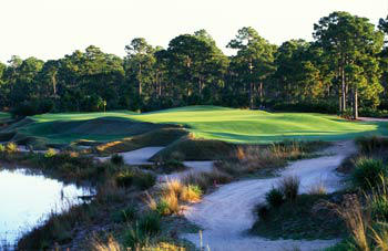 8912 First Tee Road Port St. Lucie, FL 34986 - Photo 45 of 47 First Tee Golf 1