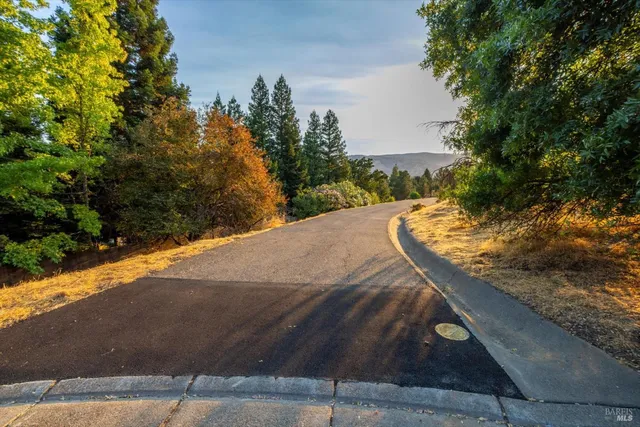 a view of a yard with an outdoor space