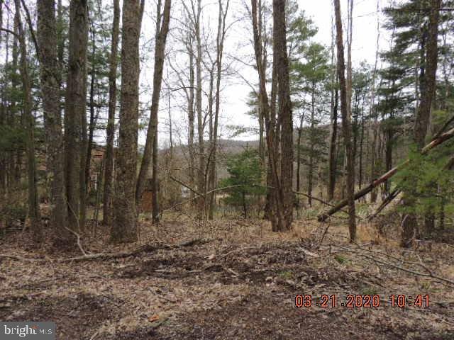 1240 Fairview Road Grantsville, MD 21536 - Photo 14 of 48