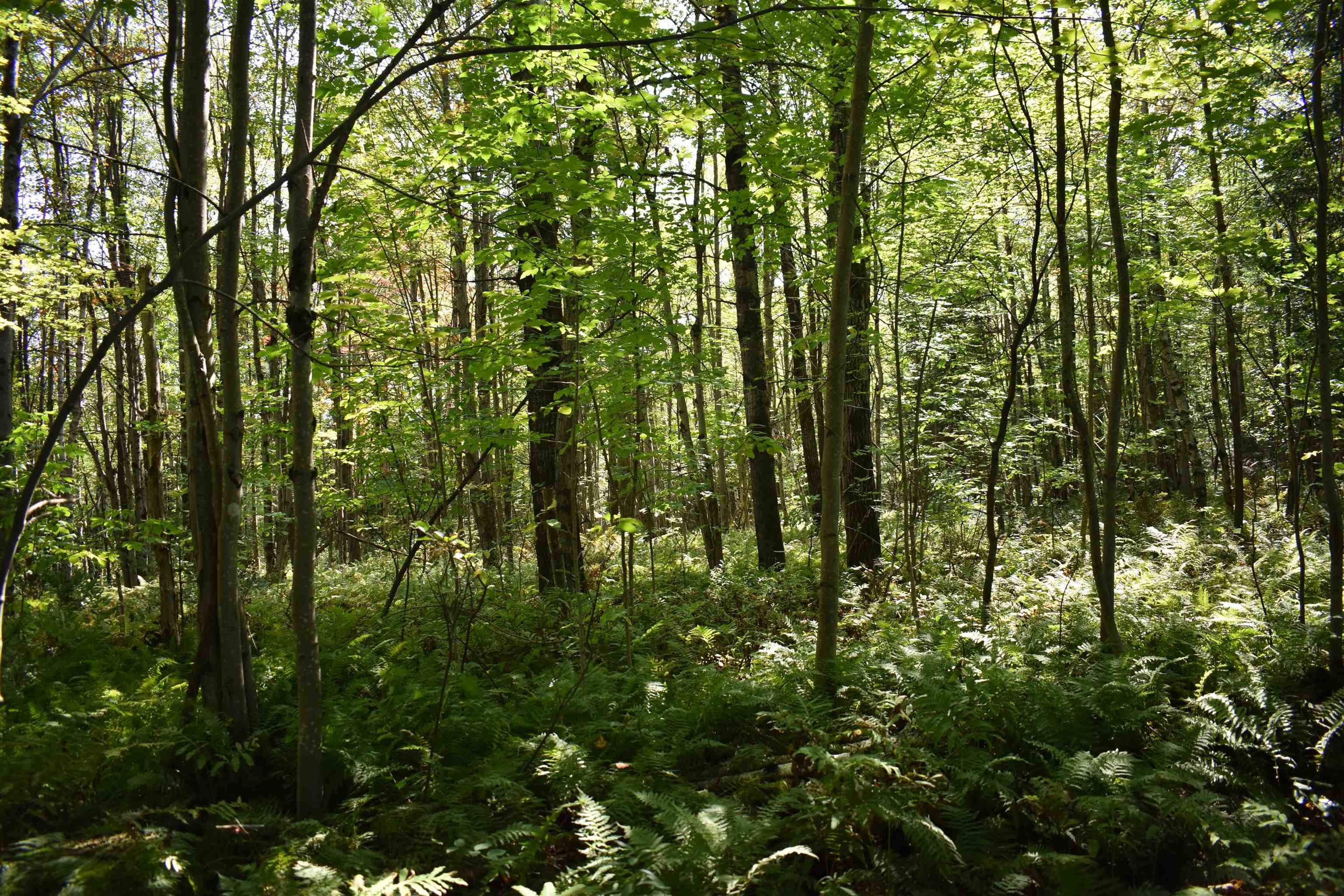 1 Guyette Road Lowell, VT 05847 - Photo 19 of 21