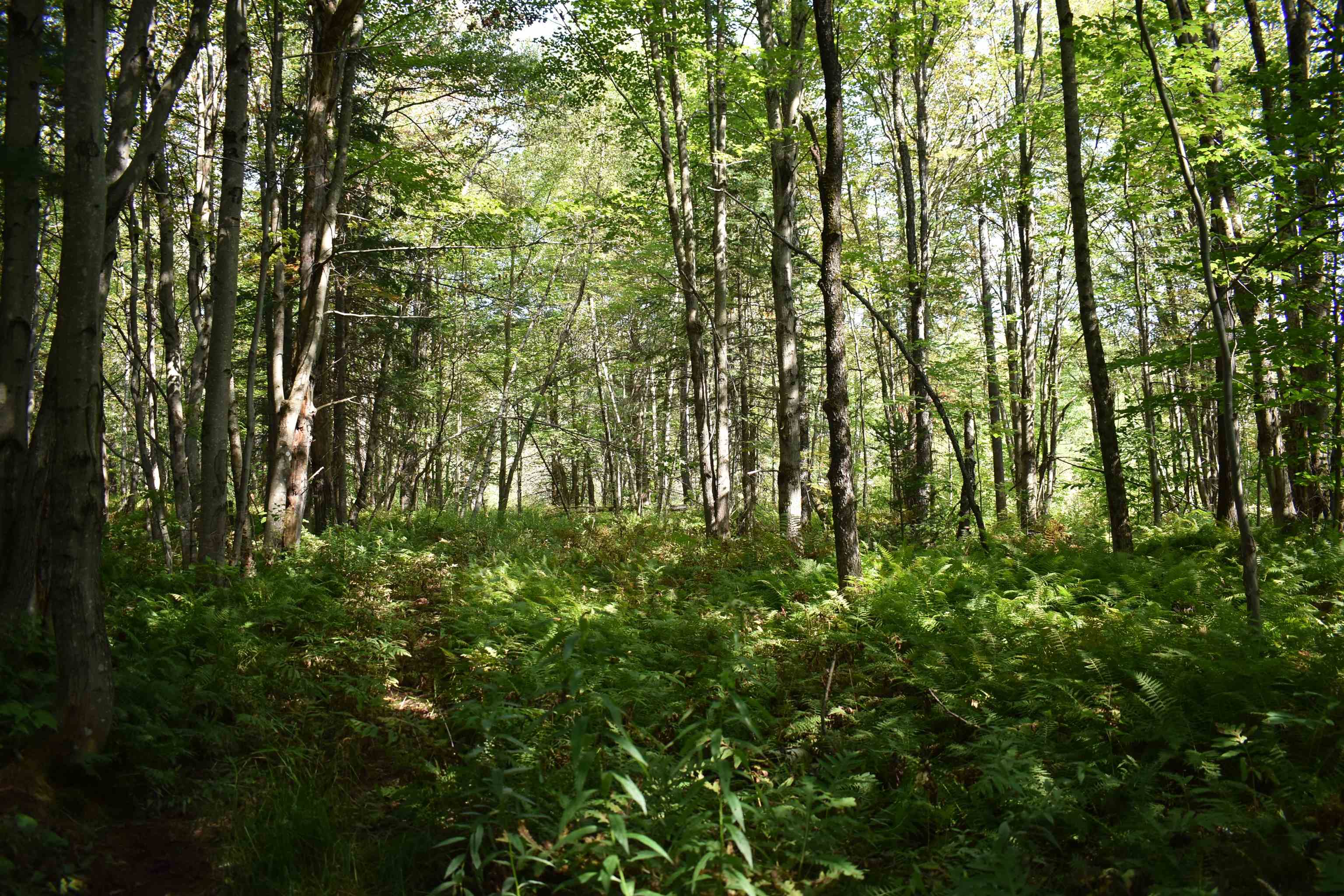1 Guyette Road Lowell, VT 05847 - Photo 21 of 21