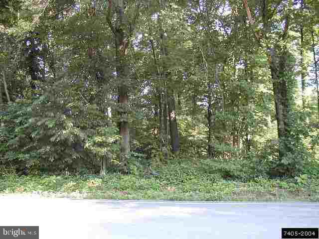 Lot 5 Waltersdorff Road Spring Grove, PA 17362 - Photo 1 of 1 a view of a yard with a tree