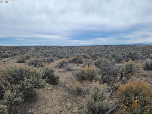 $33,000 | 1800 Christmas Valley Highway, Christmas Valley, OR 97641