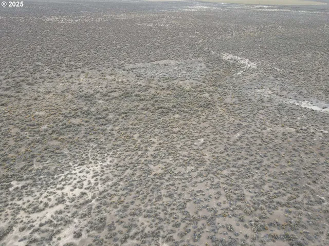 a view of a dry yard