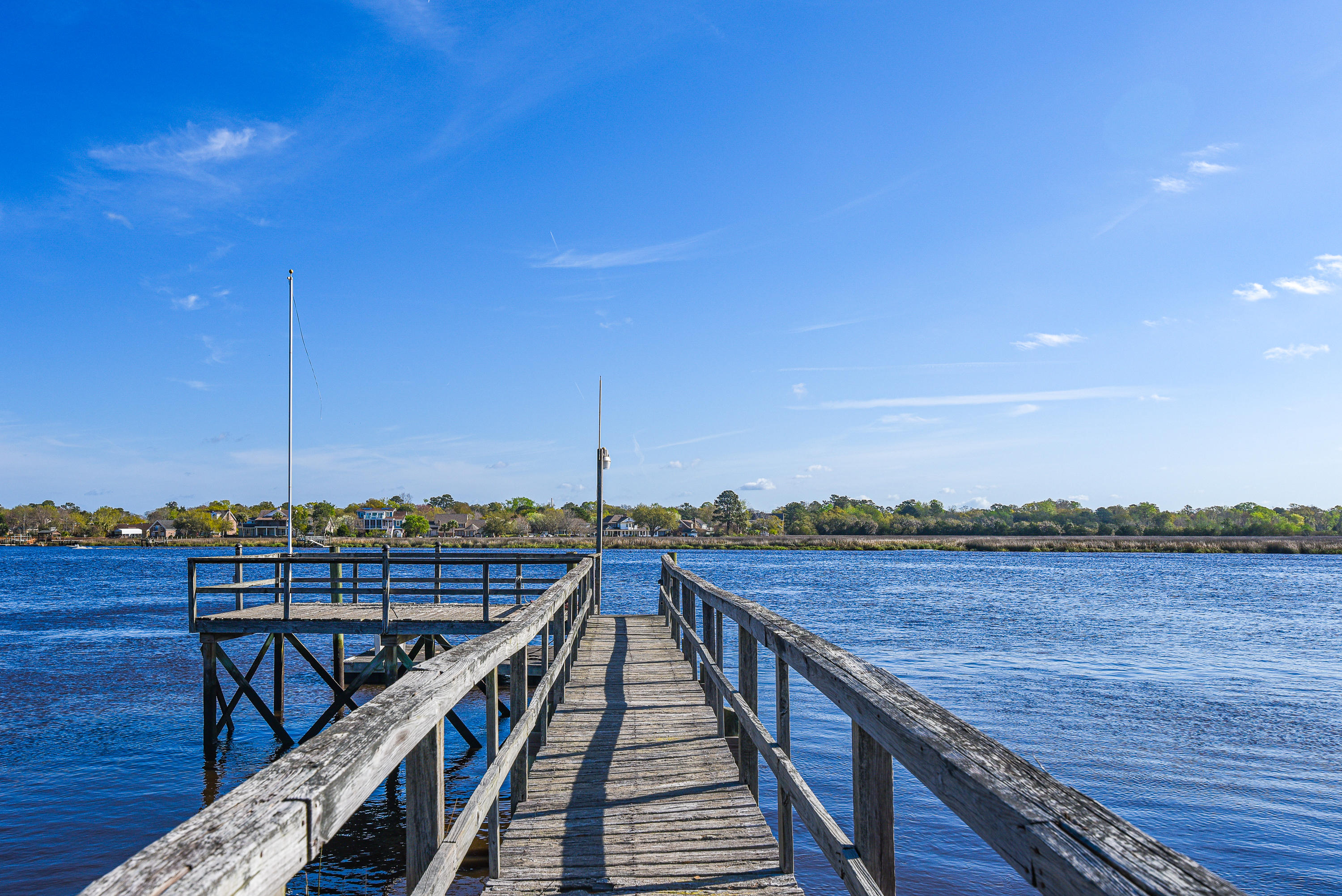 2860 Harvard Road Charleston, SC 29414 - Photo 3 of 49 DSC_7765