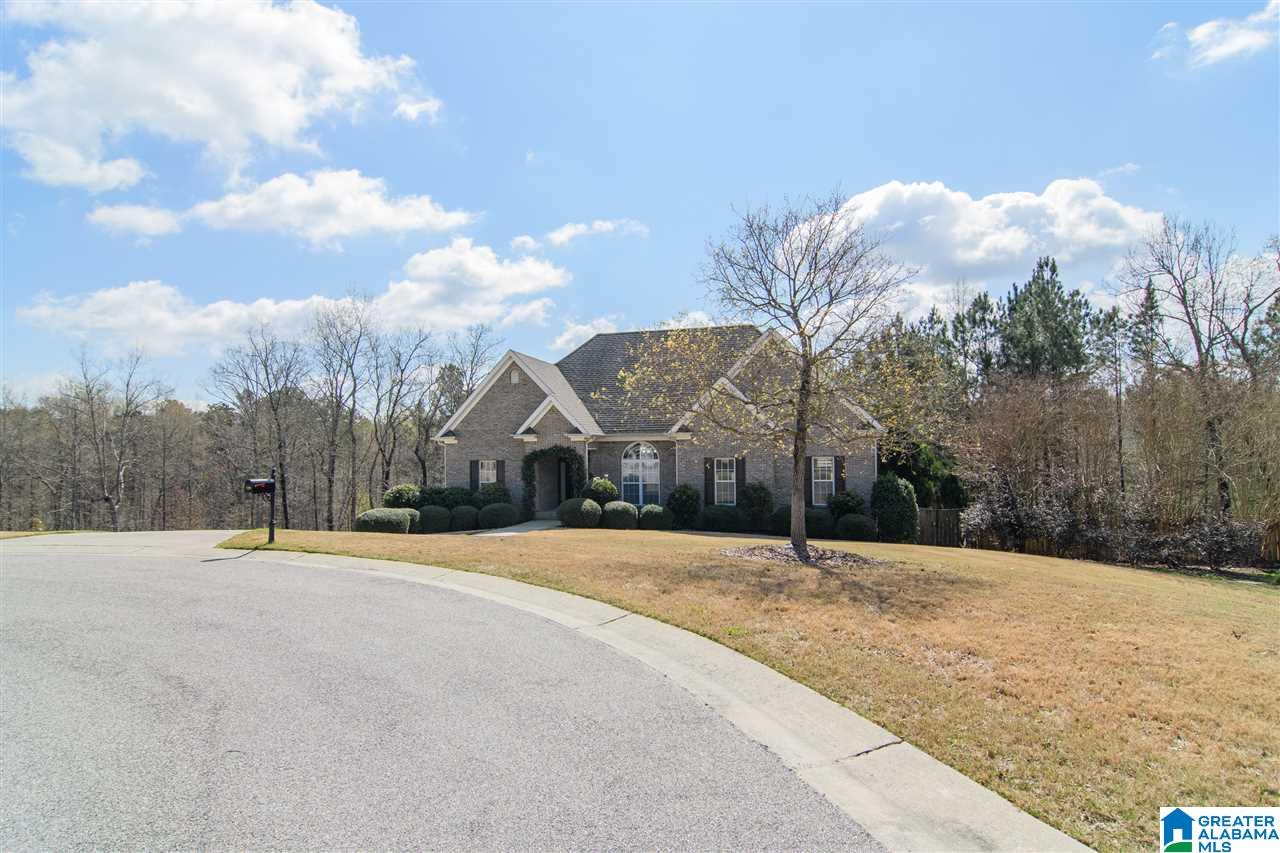 129 Astor Circle Chelsea, AL 35043 - Photo 3 of 47