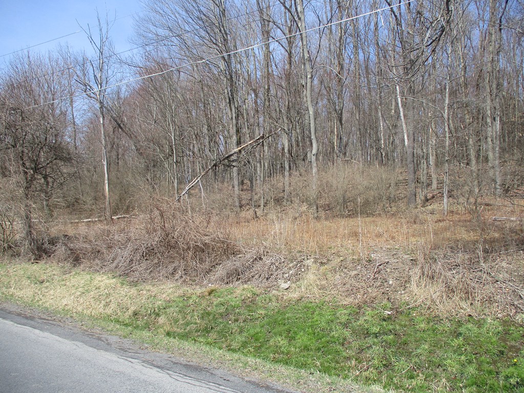 188 Orchard Hill Road Horseheads, NY 14903 - Photo 2 of 4