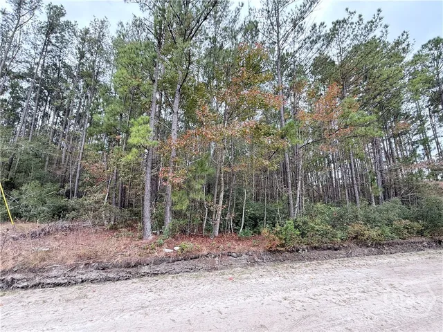 $35,000 | 0 Raymona Drive, Brooklet, GA 30415