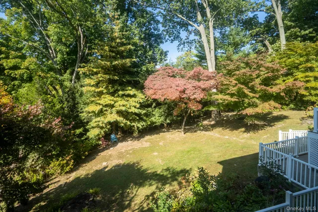 a view of a yard with plants and large trees