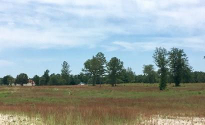 122 Pearl Lane Williston, SC 29853 - Photo 1 of 7