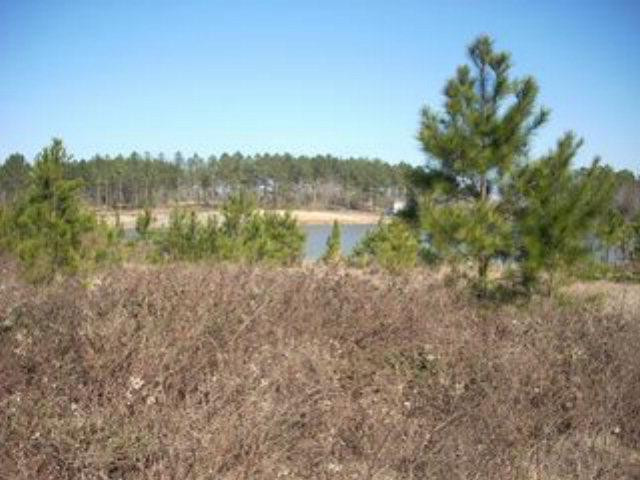 Lot 50 Timber Ridge Lakes Broxton, GA 31519 - Photo 1 of 1