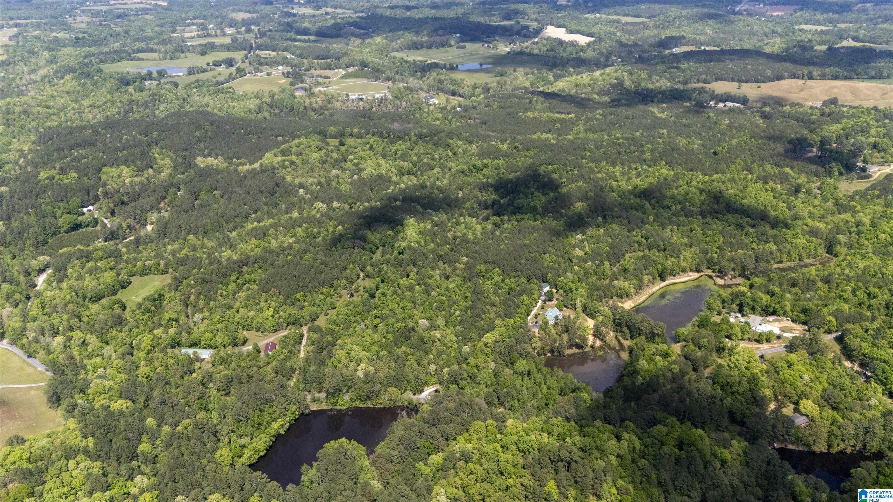 2121 Center Hill Road Trafford, AL 35172 - Photo 93 of 100