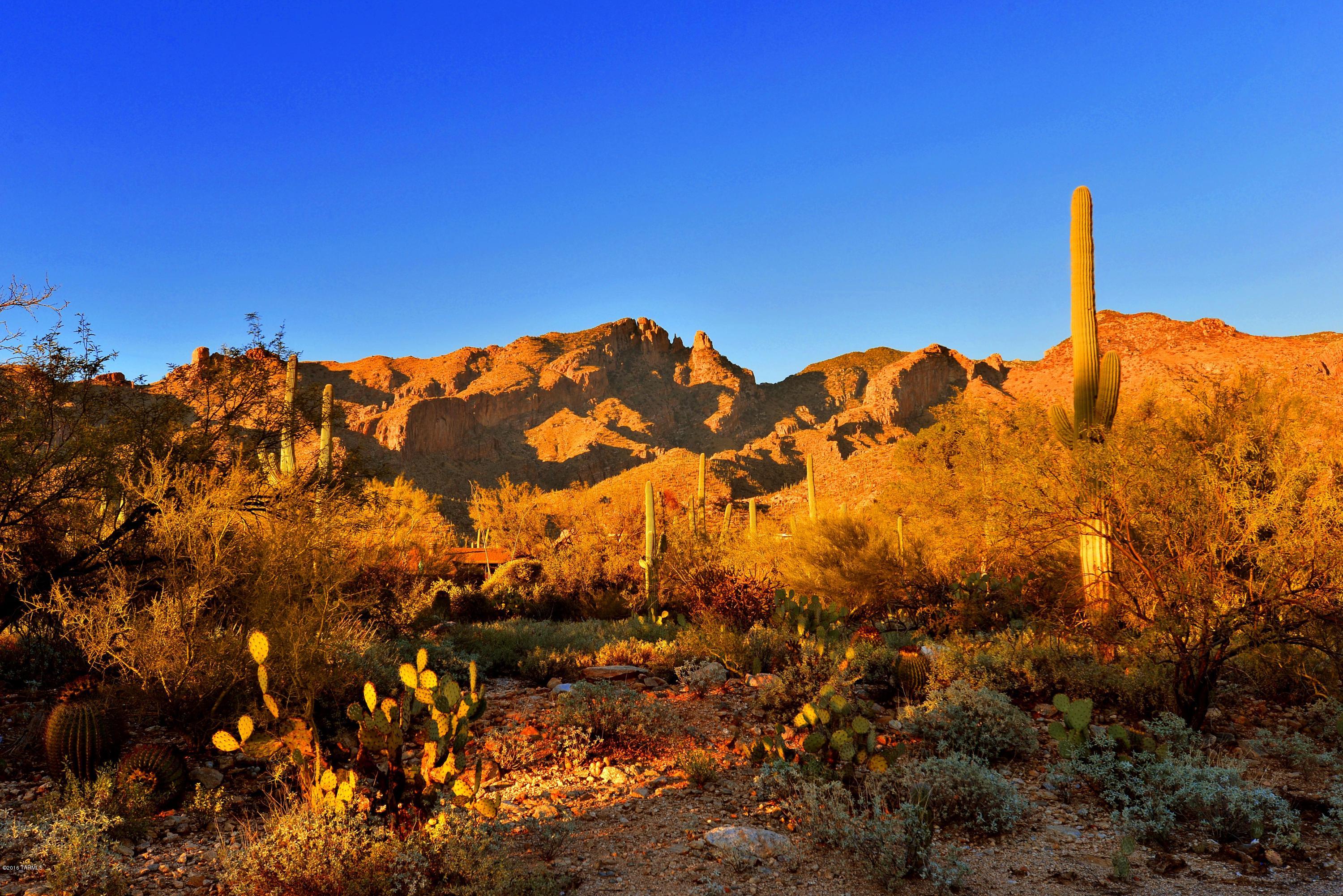 4010 East Cocopas Road Tucson, AZ 85718 - Photo 24 of 26 Gallery Image 24