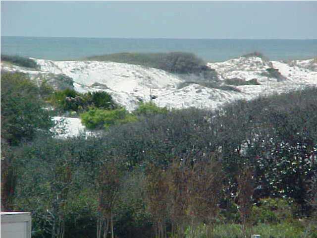 Lot 33 Watersound Beach Inlet Beach, FL 32461 - Photo 1 of 5 Gallery Image 1