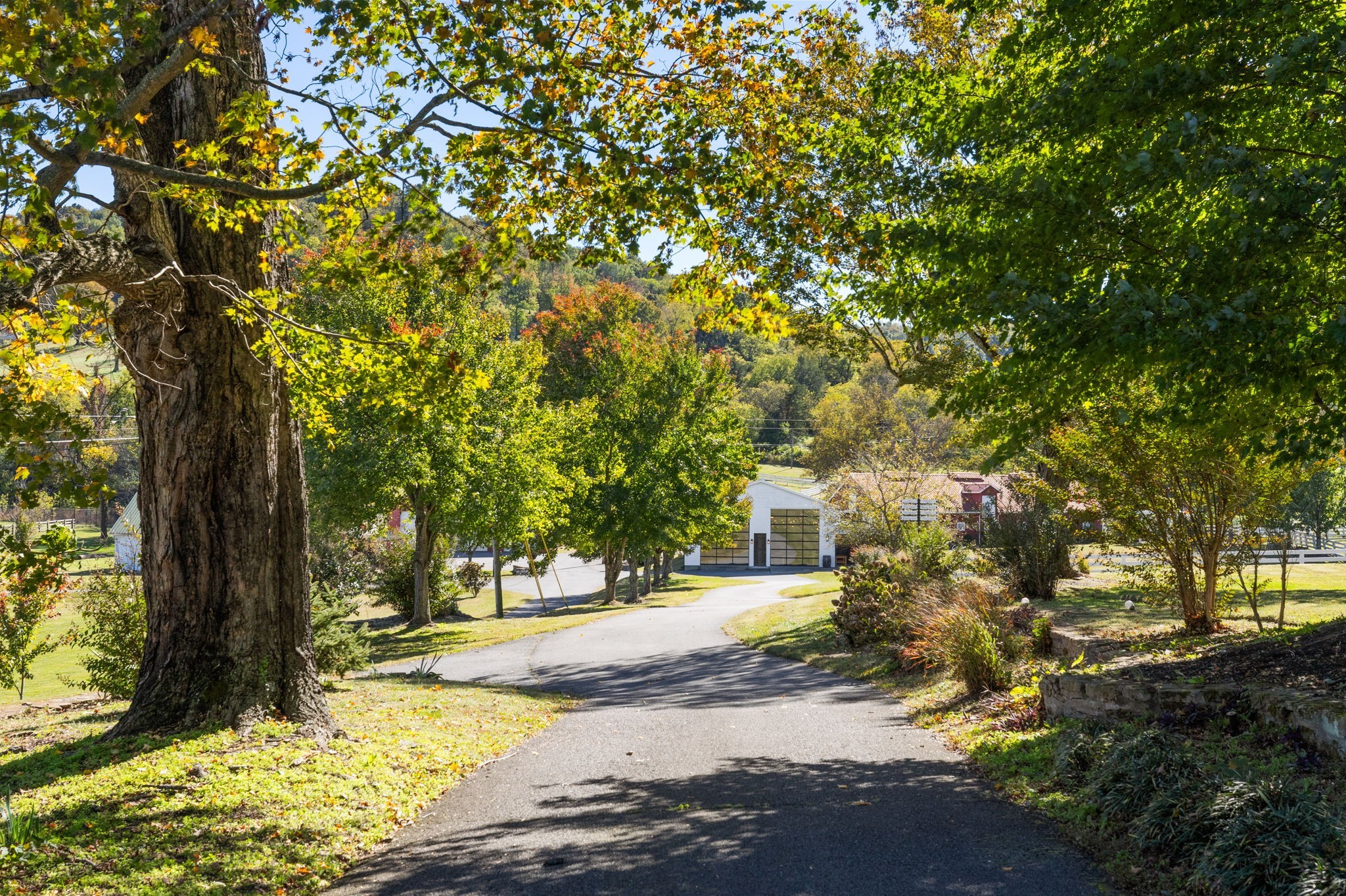 2133 Allisona Road Eagleville, TN 37060 - Photo 45 of 100 a view of a yard with plants and trees