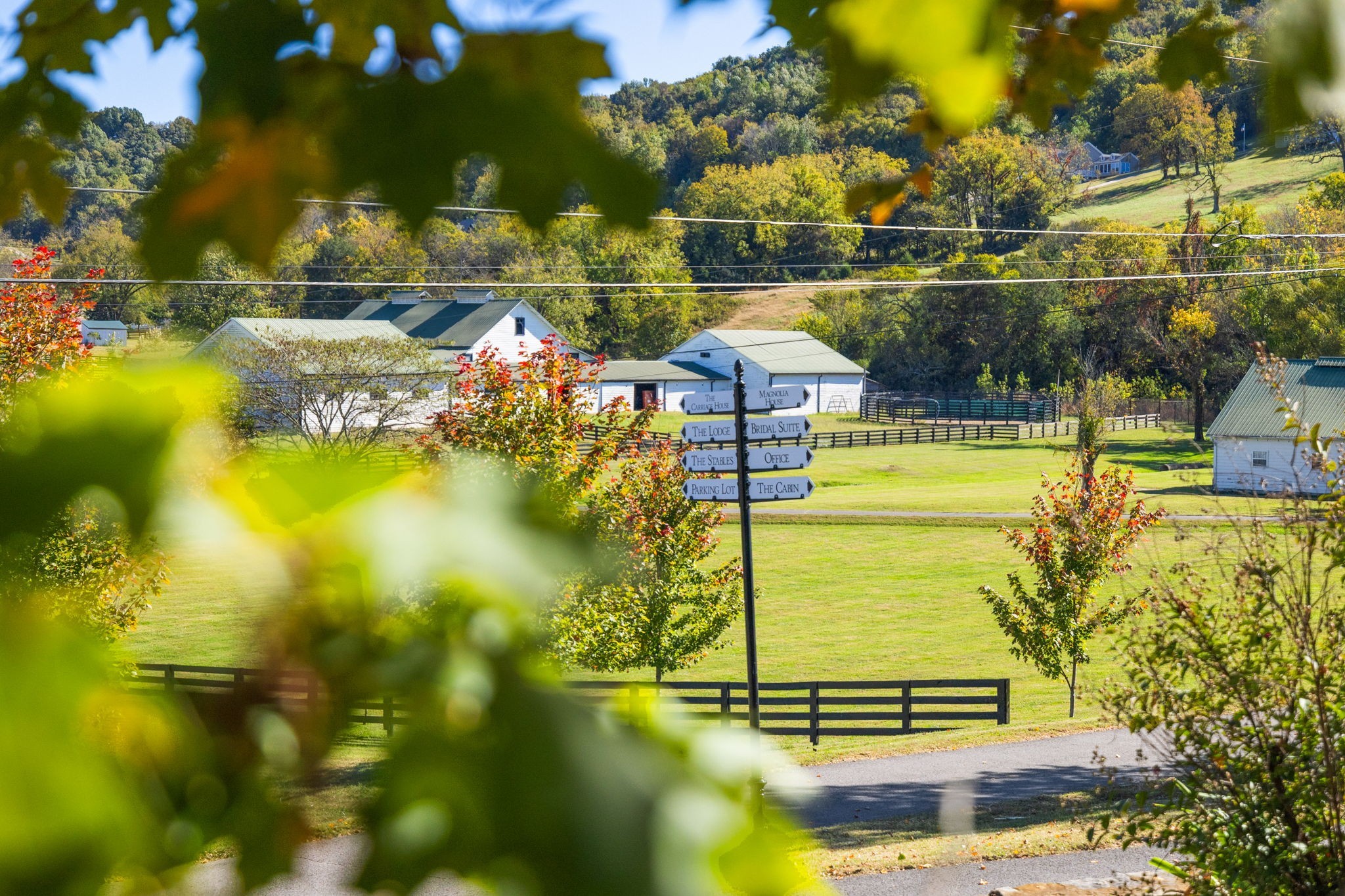 2133 Allisona Road Eagleville, TN 37060 - Photo 5 of 100