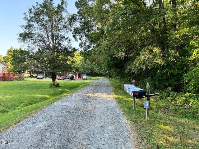 a view of a park with large trees