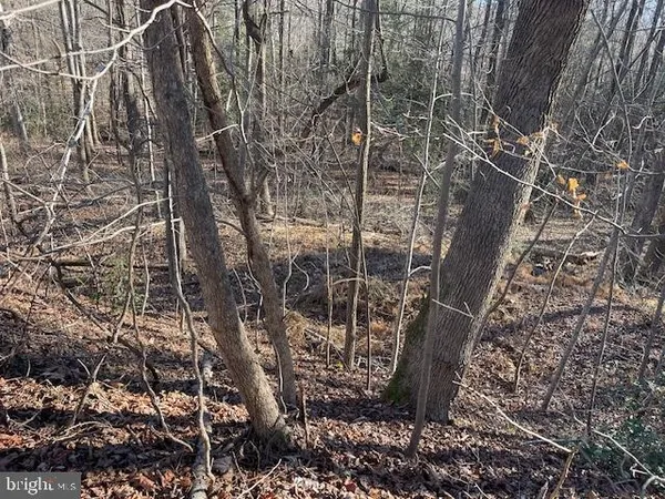 $12,500 | Lot 6 Bald Eagle Drive, Montross, VA 22520