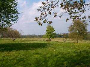 132 Wise Road Butler, PA 16002 - Photo 2 of 7 Yard/Garden.