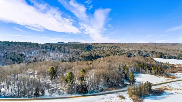 $99,000 | L1 County Road 16, Plymouth, NY 13832
