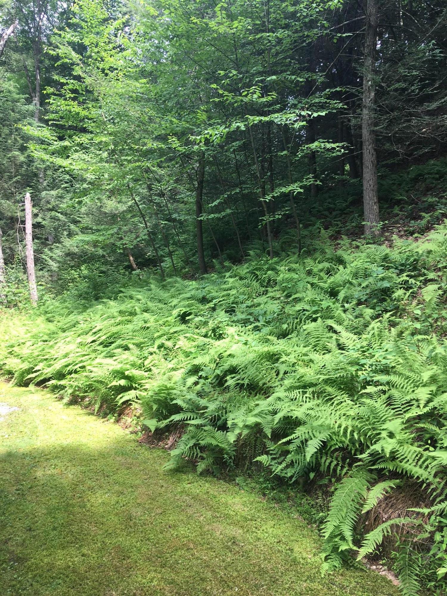 238 Quiet Valley Road Stroudsburg, PA 18360 - Photo 2 of 13 backyard