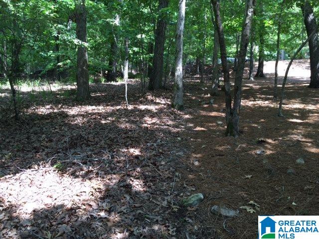 8068 Castlehill Road Birmingham, AL 35242 - Photo 3 of 5