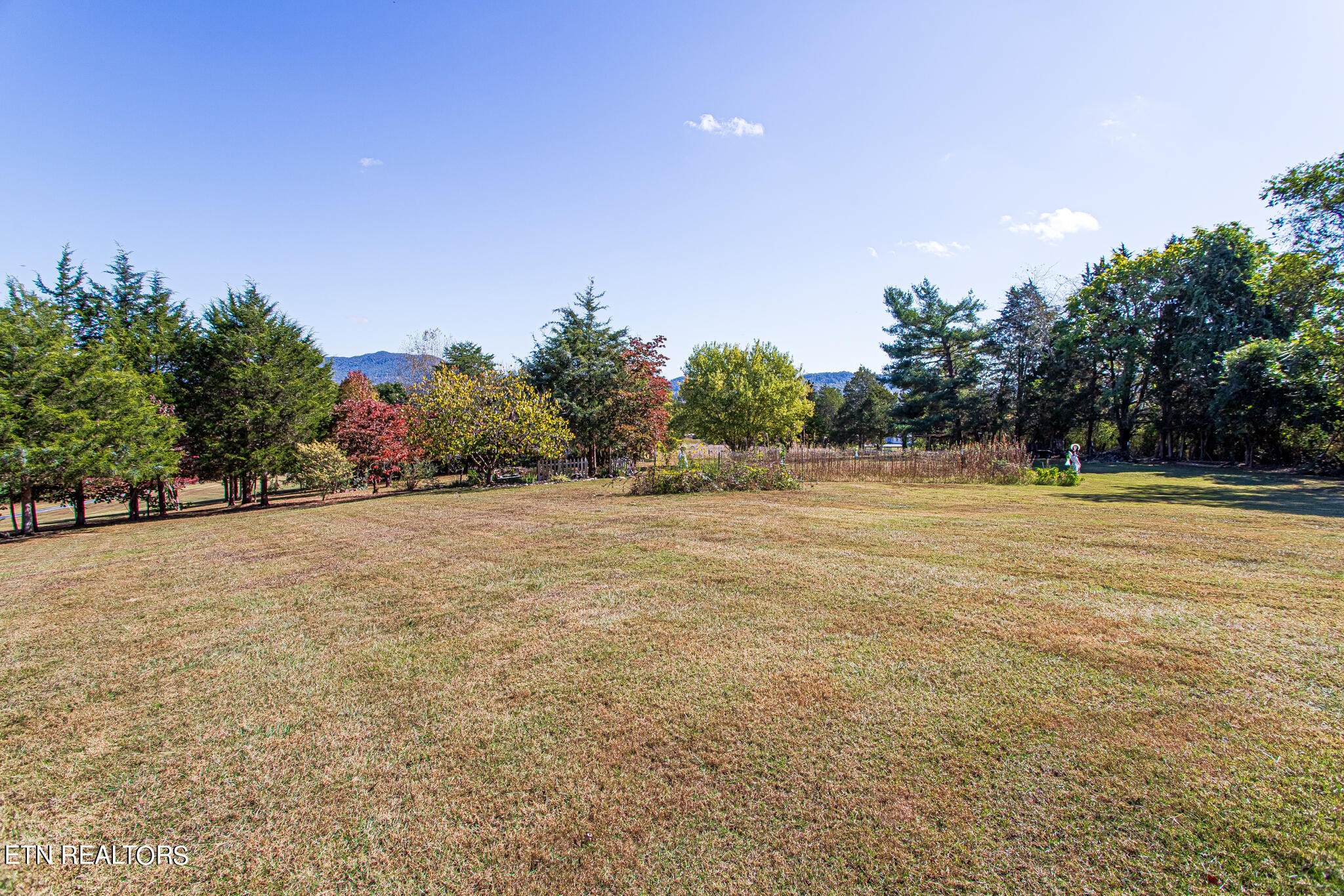 6011 Renee Road Corryton, TN 37721 - Photo 45 of 56 a view of a field with trees in the background