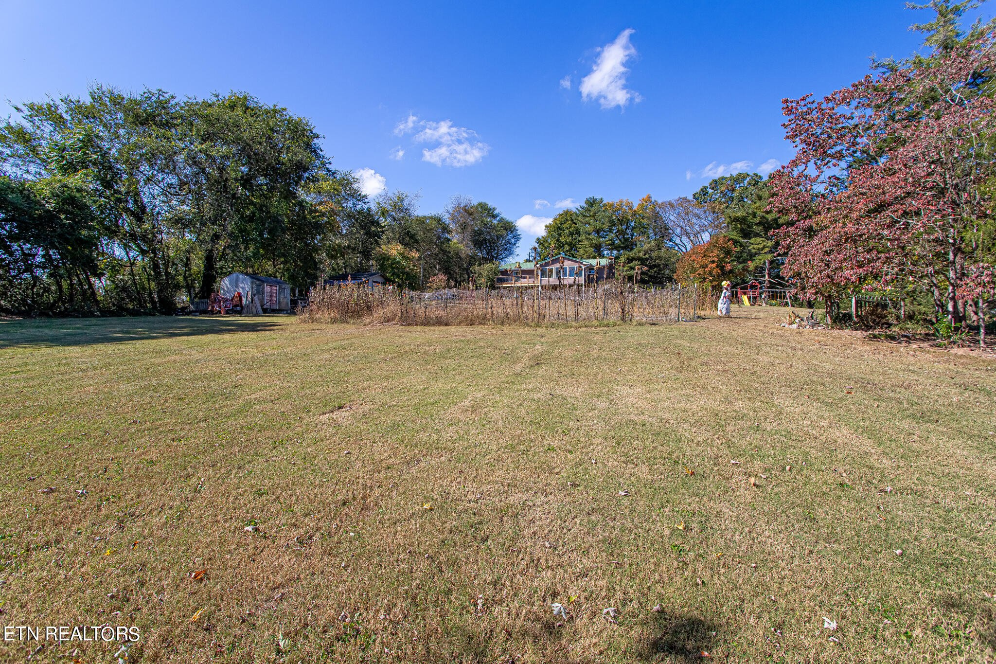 6011 Renee Road Corryton, TN 37721 - Photo 46 of 56 a view of outdoor space with yard and trees in the background