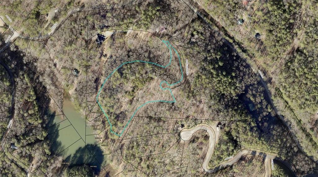 220 Maxwell Mountain Road Blue Ridge, GA 30513 - Photo 11 of 11 a close up of a plant