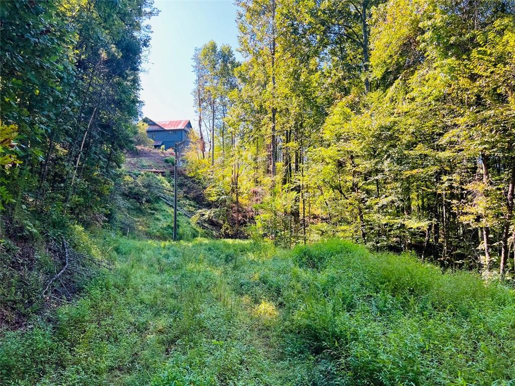 220 Maxwell Mountain Road Blue Ridge, GA 30513 - Photo 2 of 11 a view of a green field