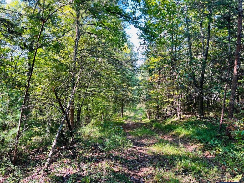220 Maxwell Mountain Road Blue Ridge, GA 30513 - Photo 5 of 11 a green field with lots of trees