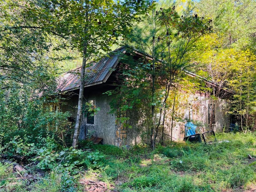 220 Maxwell Mountain Road Blue Ridge, GA 30513 - Photo 6 of 11 a view of a house with a tree