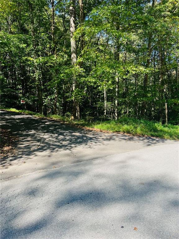 220 Maxwell Mountain Road Blue Ridge, GA 30513 - Photo 8 of 11 a backyard of a house with lots of green space
