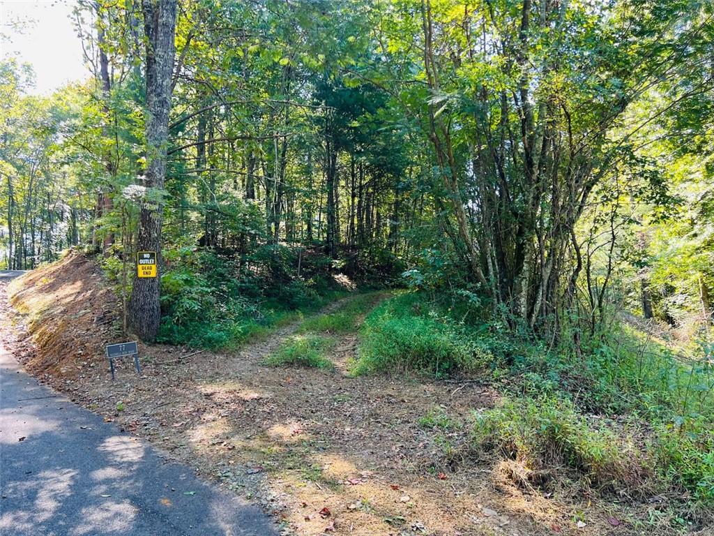 220 Maxwell Mountain Road Blue Ridge, GA 30513 - Photo 9 of 11 a view of a park with large trees