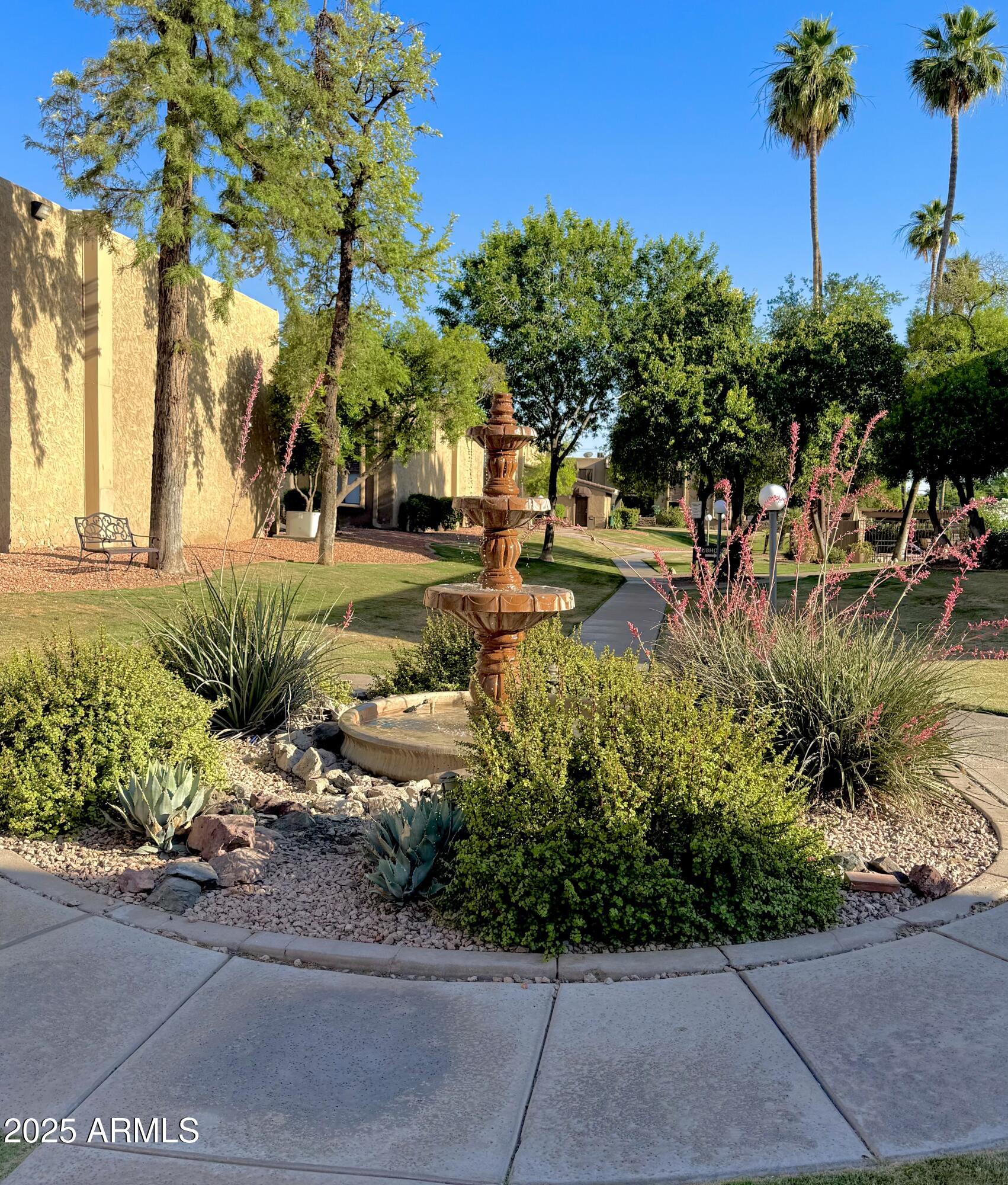 3825 East Camelback Road, Unit 152 Phoenix, AZ 85018 - Photo 20 of 28 a view of a yard with plants and trees