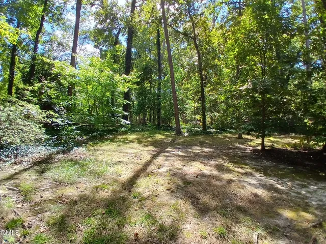 a view of a forest with trees