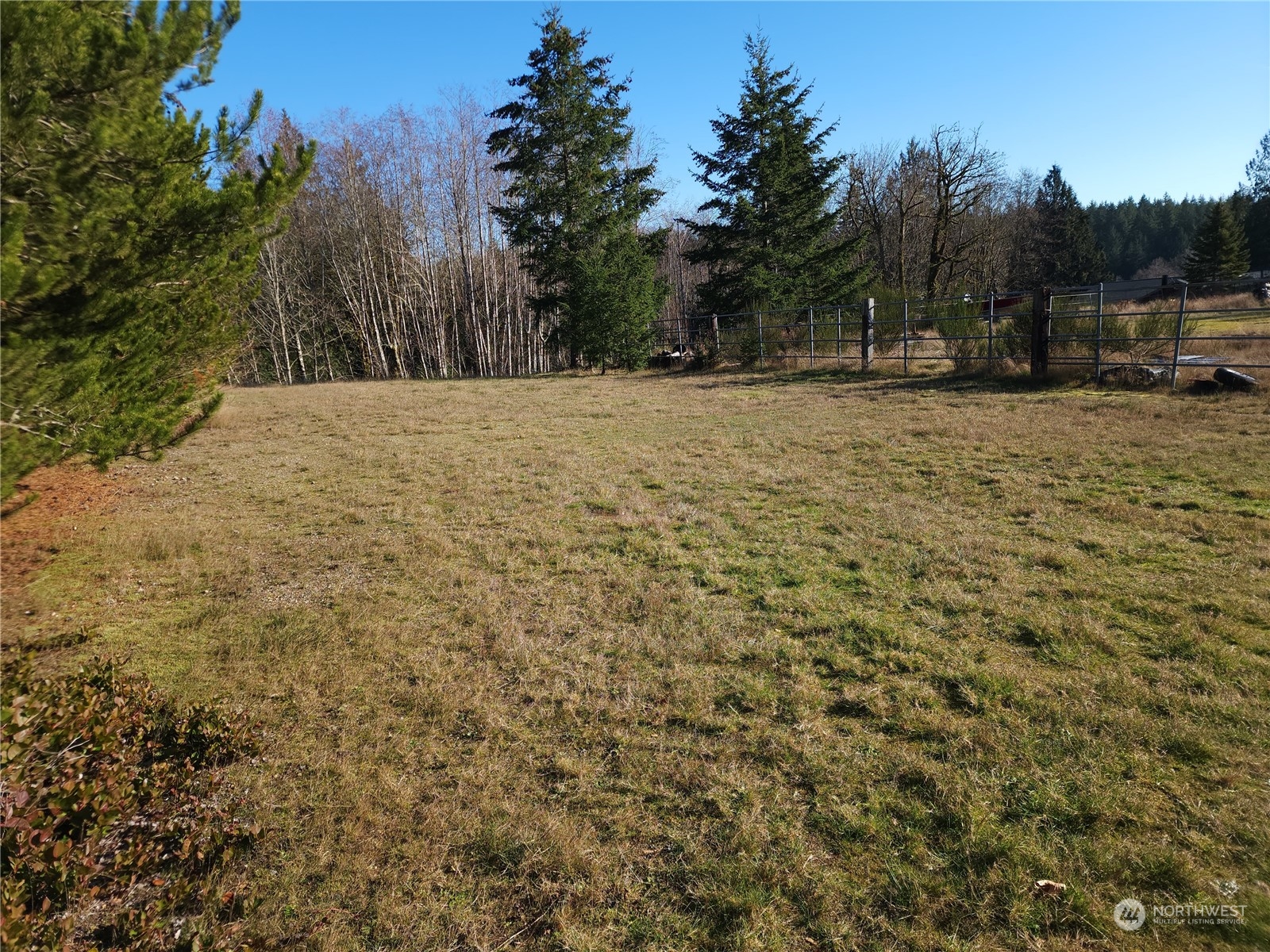 0 Silver Lane Southwest Port Orchard, WA 98367 - Photo 2 of 9 a view of road covered with snow