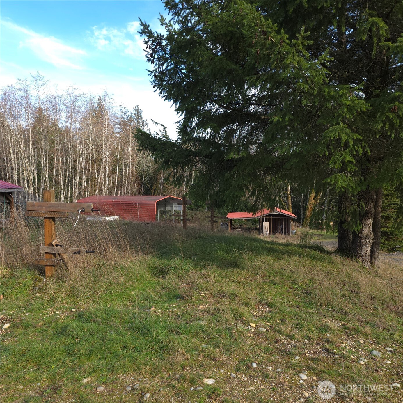 0 Silver Lane Southwest Port Orchard, WA 98367 - Photo 9 of 9 a view of a yard with large trees