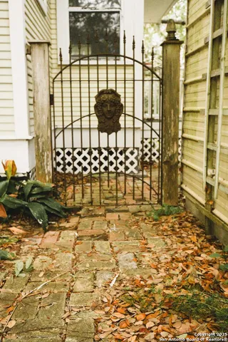 a view of a park with large trees