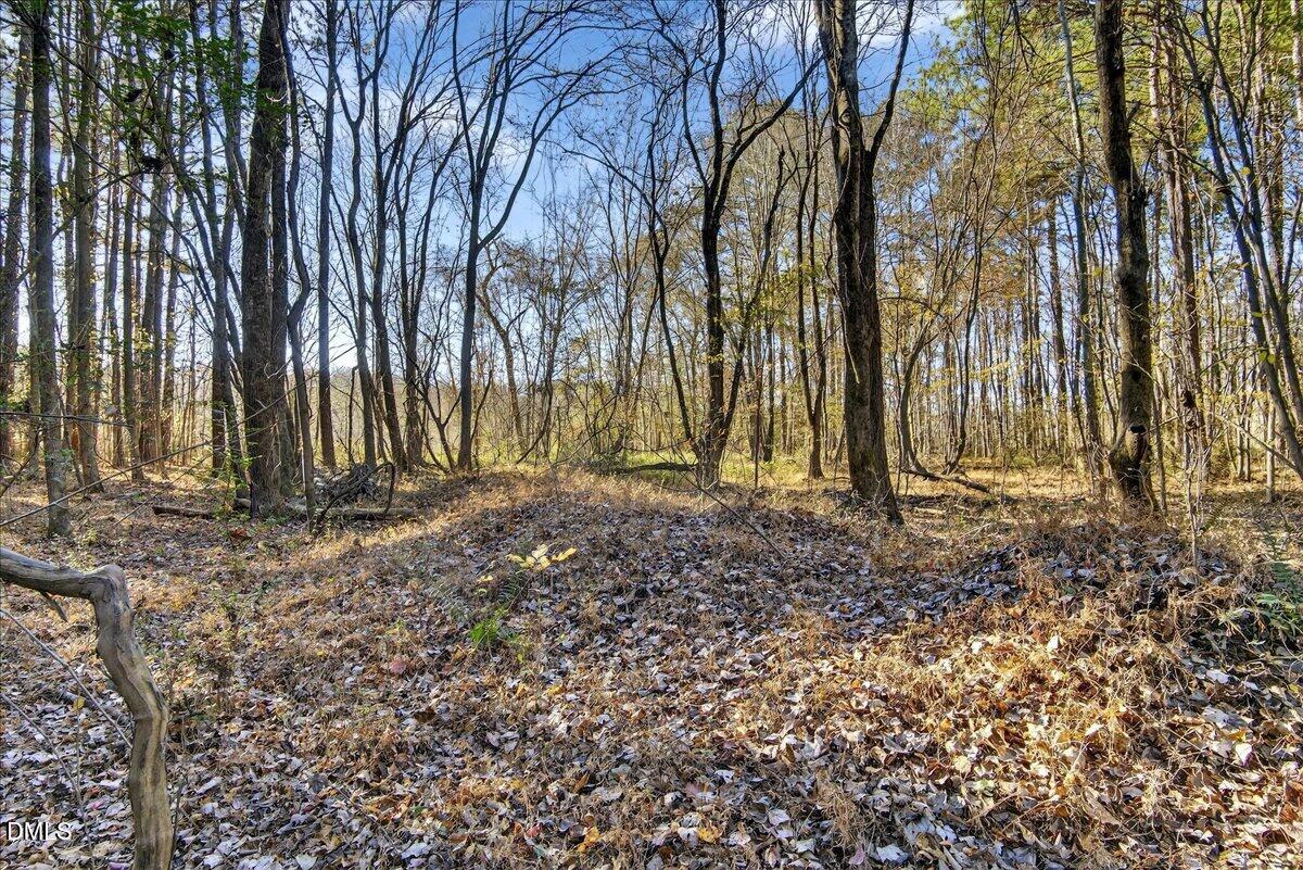 494 Bunn Elementary School Road Bunn, NC 27508 - Photo 10 of 20