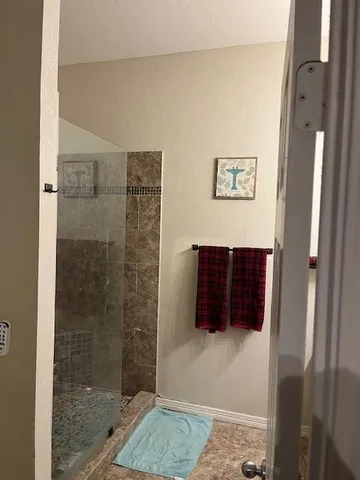 a bathroom with a shower and a sink