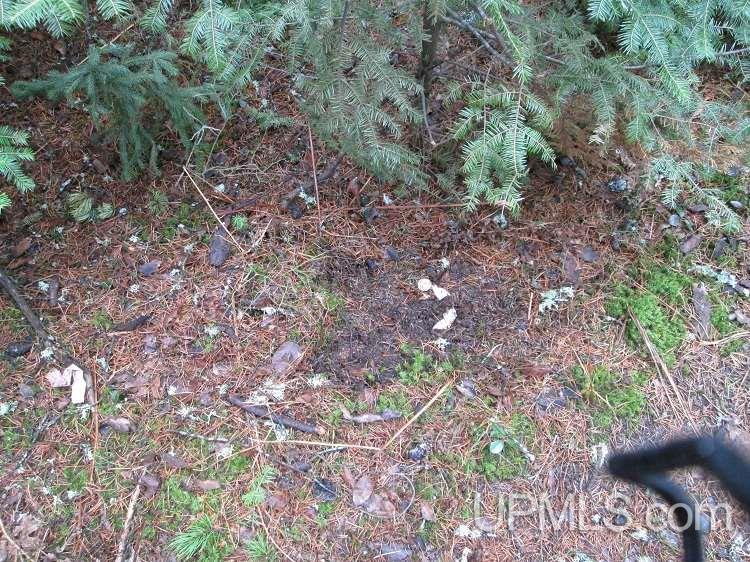 205 South Camp Road Ishpeming, MI 49849 - Photo 12 of 18 Gallery Image 12