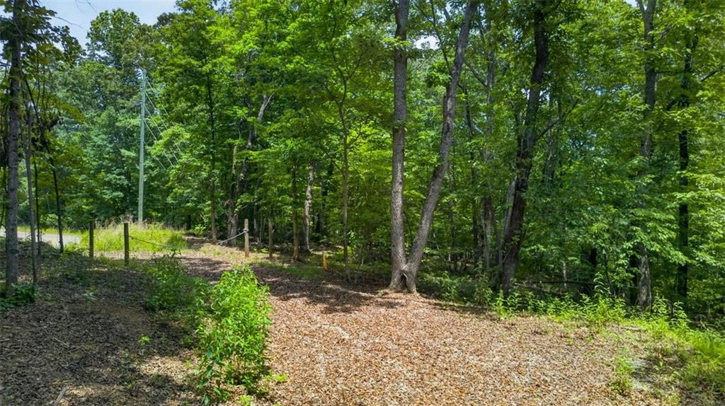 2022 Pleasant Union Road Canton, GA 30114 - Photo 3 of 17