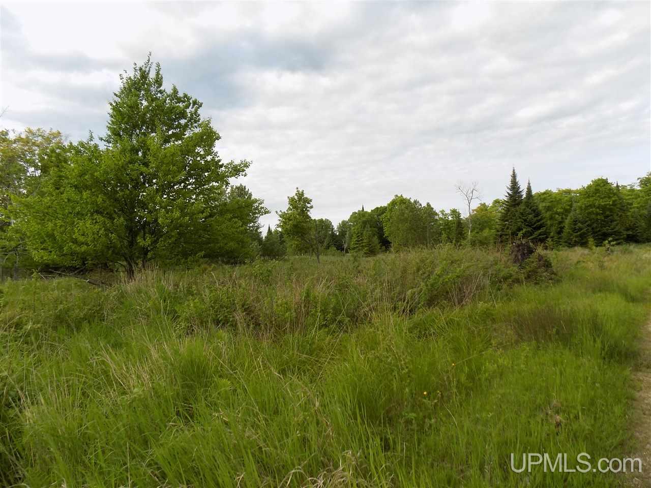 9575 Little Harbor Road Manistique, MI 49854 - Photo 14 of 32 Gallery Image 14