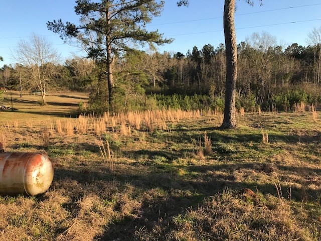 3194 Shell Oil Road Ruth, MS 39662 - Photo 19 of 20 Photo 19