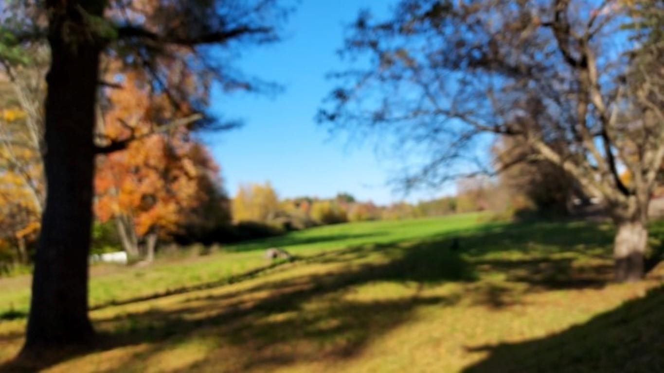 3831 Highway 153 Pawlet, VT 05775 - Photo 3 of 27