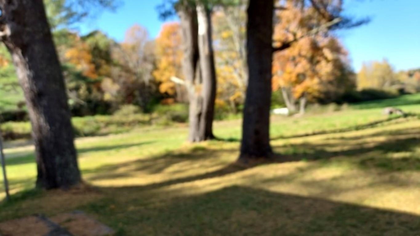 3831 Highway 153 Pawlet, VT 05775 - Photo 7 of 27